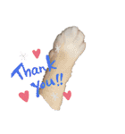 どーーーぶつ、かぞく！（個別スタンプ：27）
