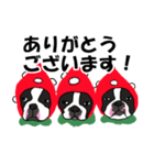 ボストンテリアこじろう先輩 いちご狩り 2（個別スタンプ：2）