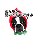 ボストンテリアこじろう先輩 いちご狩り 2（個別スタンプ：3）