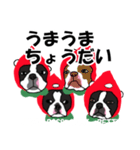 ボストンテリアこじろう先輩 いちご狩り 2（個別スタンプ：5）