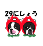 ボストンテリアこじろう先輩 いちご狩り 2（個別スタンプ：7）