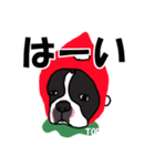 ボストンテリアこじろう先輩 いちご狩り 2（個別スタンプ：13）