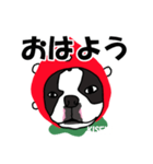 ボストンテリアこじろう先輩 いちご狩り 2（個別スタンプ：15）