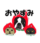 ボストンテリアこじろう先輩 いちご狩り 2（個別スタンプ：16）