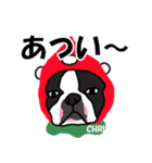 ボストンテリアこじろう先輩 いちご狩り 2（個別スタンプ：17）