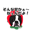ボストンテリアこじろう先輩 いちご狩り 2（個別スタンプ：22）