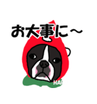 ボストンテリアこじろう先輩 いちご狩り 2（個別スタンプ：32）