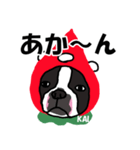 ボストンテリアこじろう先輩 いちご狩り 2（個別スタンプ：38）