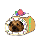 紫友会 保護犬猫のキュンスタンプ❤️（個別スタンプ：26）