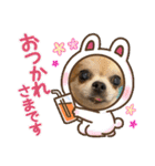 紫友会 保護犬猫のキュンスタンプ❤️（個別スタンプ：29）