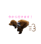 Ruby___（個別スタンプ：5）