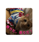 むぎむーの日常❹（個別スタンプ：6）