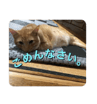 むぎむーの日常❹（個別スタンプ：14）