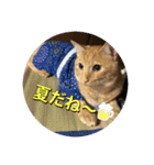 むぎむーの日常❹（個別スタンプ：16）