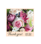 山、海、空、薔薇と英語と日本語（個別スタンプ：8）