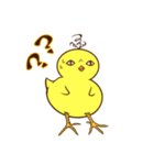 血走りヒヨコのヨピ（個別スタンプ：2）