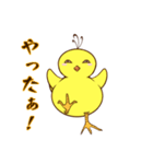 血走りヒヨコのヨピ（個別スタンプ：4）