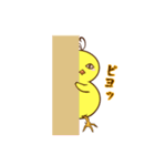 血走りヒヨコのヨピ（個別スタンプ：5）