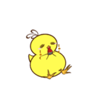 血走りヒヨコのヨピ（個別スタンプ：14）