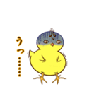 血走りヒヨコのヨピ（個別スタンプ：16）