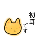 むぎわらねこ【いろんな場面】（個別スタンプ：26）