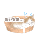 むぎとろ丼（個別スタンプ：5）