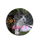 やひとび日記（個別スタンプ：1）