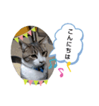 やひとび日記（個別スタンプ：4）