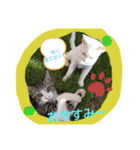 やひとび日記（個別スタンプ：9）