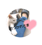 やひとび日記（個別スタンプ：12）