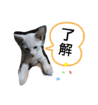 やひとび日記（個別スタンプ：14）