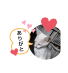 やひとび日記（個別スタンプ：20）