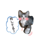 やひとび日記（個別スタンプ：23）