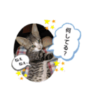 やひとび日記（個別スタンプ：24）