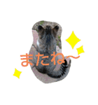 やひとび日記（個別スタンプ：26）