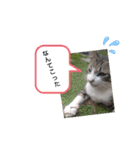 やひとび日記（個別スタンプ：27）