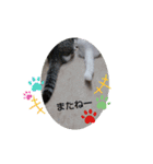 やひとび日記（個別スタンプ：30）