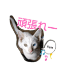 やひとび日記（個別スタンプ：32）