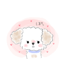 マルプーこたろう（個別スタンプ：1）