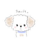 マルプーこたろう（個別スタンプ：2）