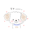 マルプーこたろう（個別スタンプ：3）