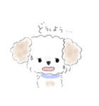 マルプーこたろう（個別スタンプ：6）