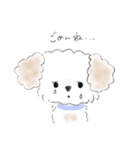 マルプーこたろう（個別スタンプ：7）