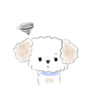 マルプーこたろう（個別スタンプ：8）