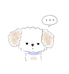 マルプーこたろう（個別スタンプ：9）