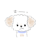 マルプーこたろう（個別スタンプ：10）