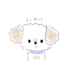 マルプーこたろう（個別スタンプ：11）