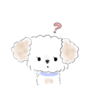 マルプーこたろう（個別スタンプ：12）