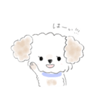 マルプーこたろう（個別スタンプ：14）