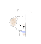マルプーこたろう（個別スタンプ：15）
